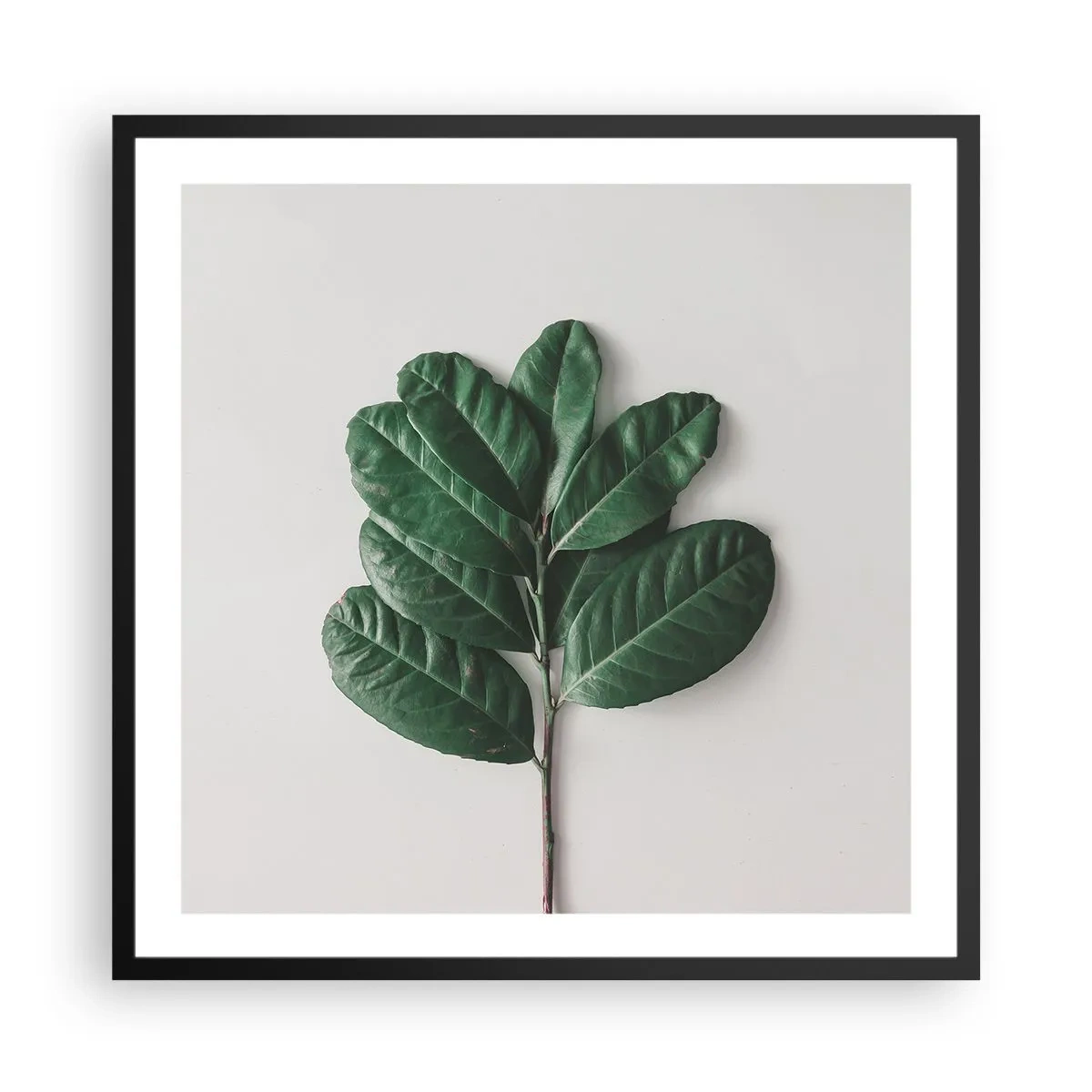 Poster in cornice nera - Il disegno della natura stessa - 60x60 cm