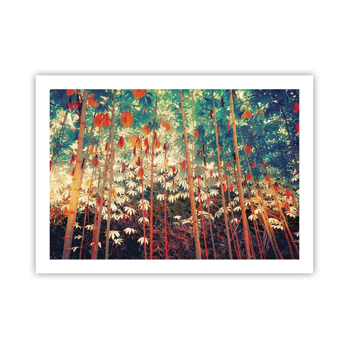 Poster - La vita segreta delle foglie - 70x50 cm
