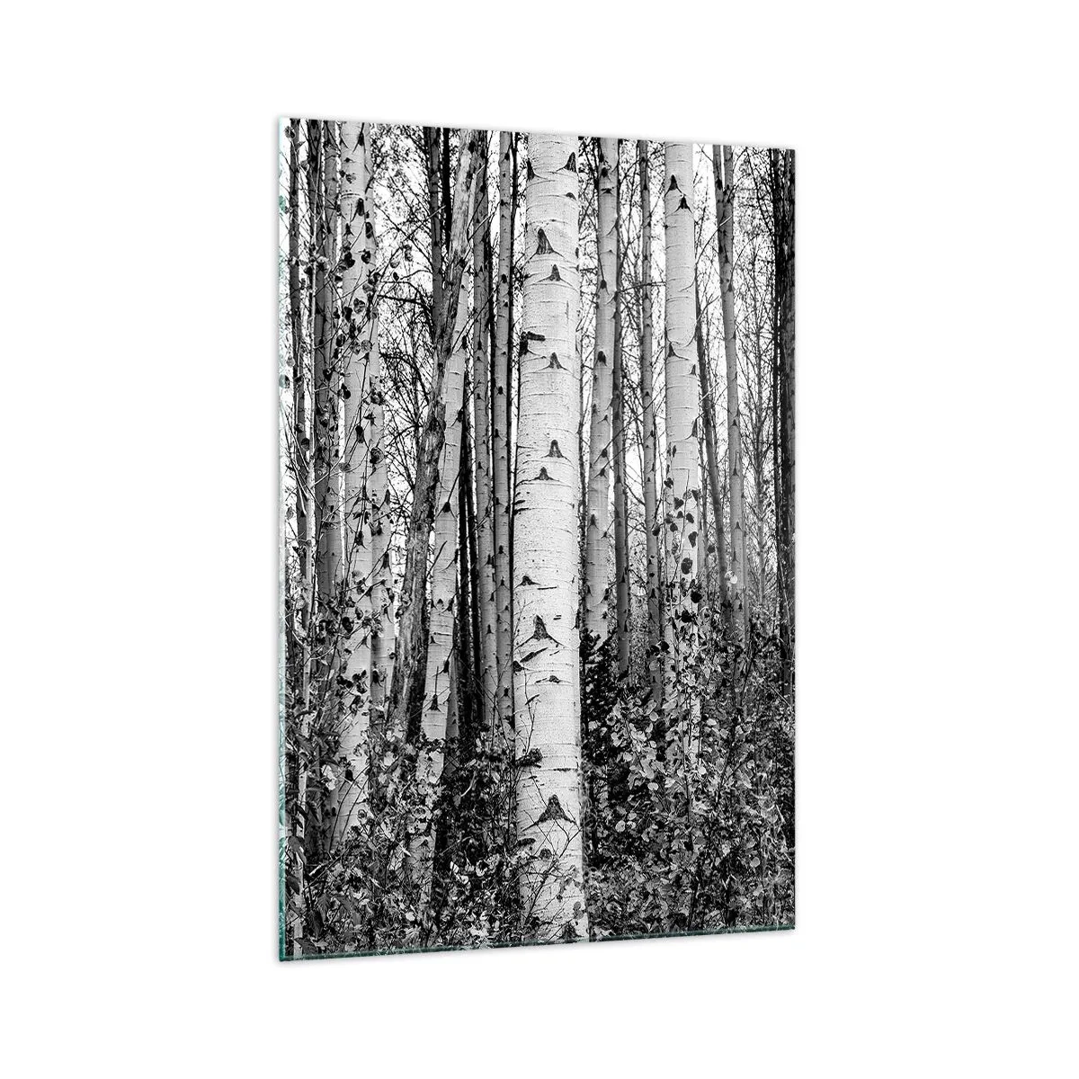 Quadro su vetro - Betulle bianche e nere nella foresta - 70x100cm - Colonnato di betulle - Decorazione murale moderna per soggiorno e camera da letto ARTTOR