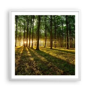 Poster in cornice bianca - La foto di ogni primavera - 60x60 cm