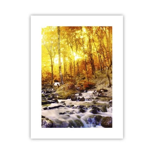Poster - Pietre incorniciate in oro e platino - 30x40 cm