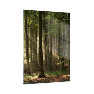 Quadro su vetro - Raggi di sole che brillano attraverso gli alberi nella foresta - 50x70cm - Raggiante in un mattino di primavera - Decorazione murale moderna per soggiorno e camera da letto ARTTOR