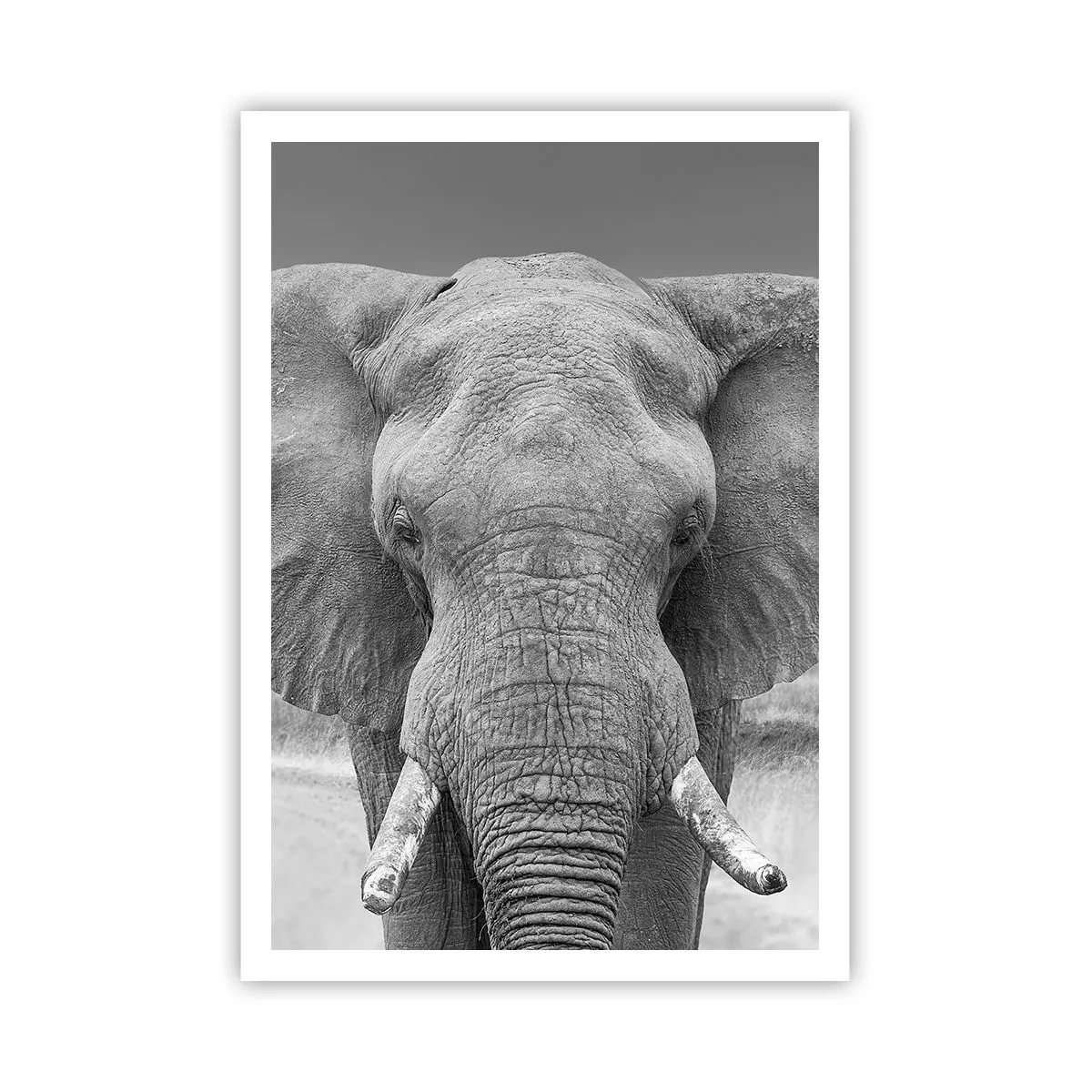 Poster - Benvenuti nel mio mondo - 70x100 cm