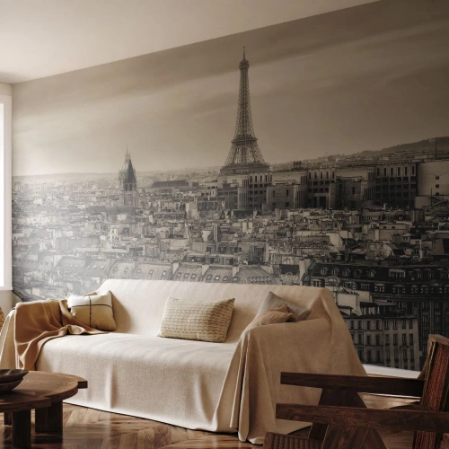 Fotomurali Autoadesivo Deluxe Sticker - Sui tetti di Parigi - Città, Parigi, Architettura - 400x280 cm