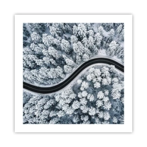 Poster - Attraverso il bosco invernale - 50x50 cm