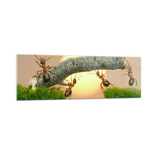 Quadro su vetro - Formiche che costruiscono un ponte di rami sullo sfondo del sole al tramonto. - 160x50cm - Gioioso lavoro comune - Decorazione murale moderna per soggiorno e camera da letto ARTTOR