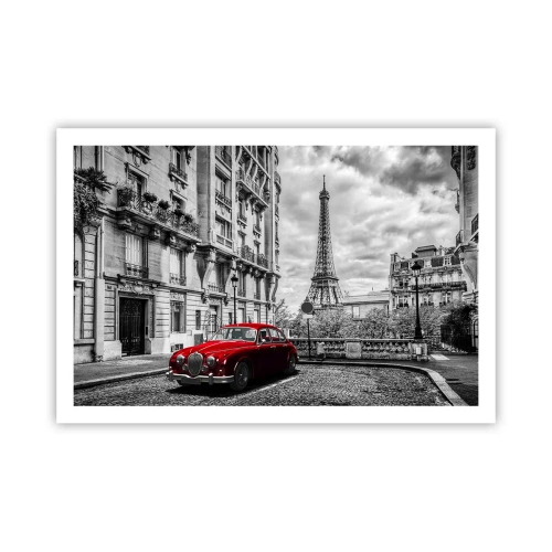 Poster - Predatore in città - 91x61 cm