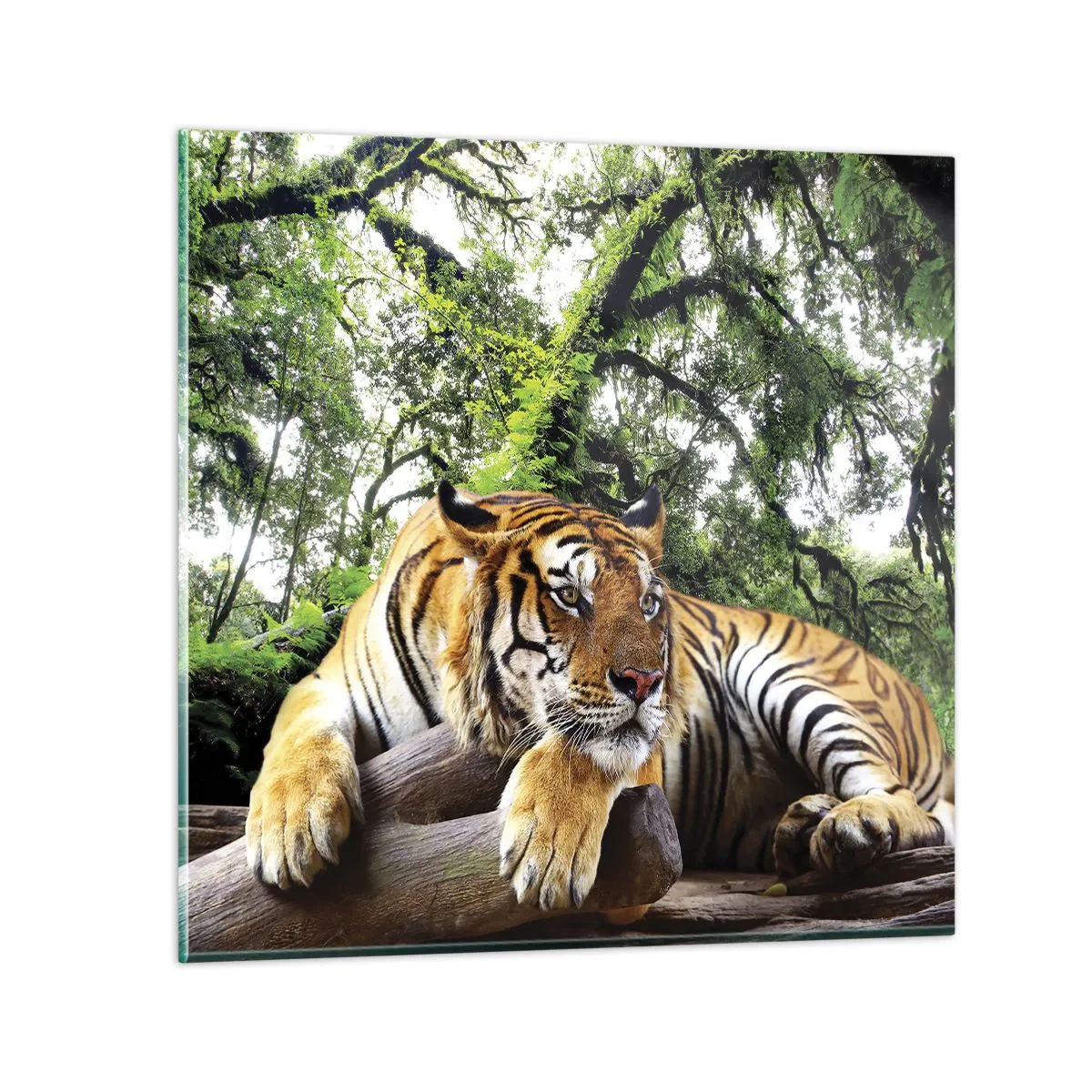 Quadro su vetro - Con espressioni di stima - 50x50 cm