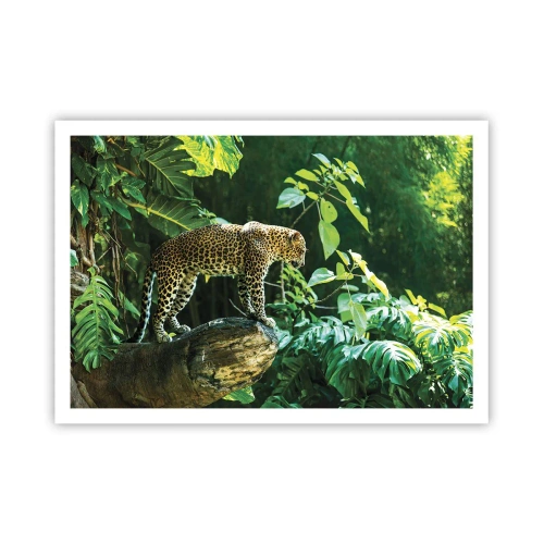 Poster - Un leopardo in piedi su una roccia circondato da vegetazione tropicale - 100x70cm - A caccia? - Decorazione murale moderna per soggiorno e camera da letto ARTTOR