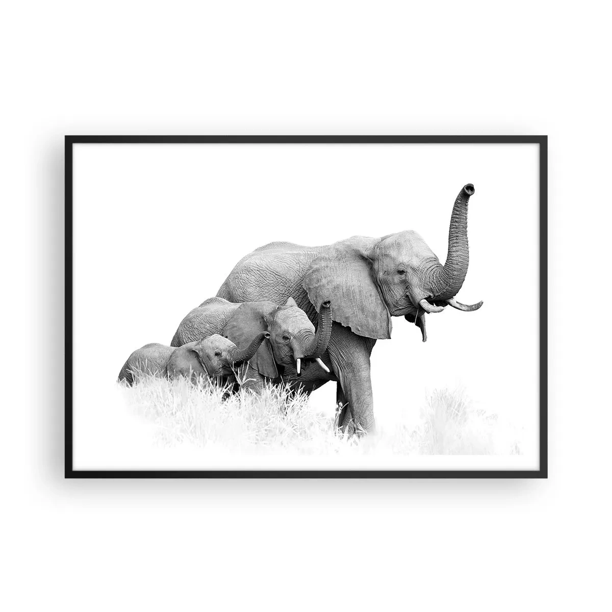 Poster in cornice nera - Una famiglia di elefanti sullo sfondo di un paesaggio africano in bianco e nero. - 100x70cm - Uno, due, tre - Decorazione murale moderna per soggiorno e camera da letto ARTTOR