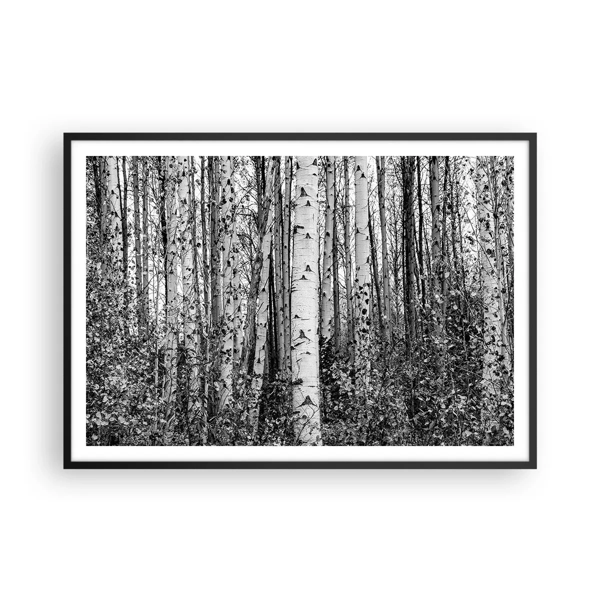 Poster in cornice nera - Betulle bianche e nere nella foresta - 100x70cm - Colonnato di betulle - Decorazione murale moderna per soggiorno e camera da letto ARTTOR