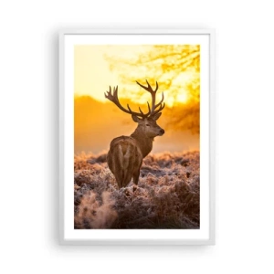 Poster in cornice bianca - Il re del bosco estivo - 50x70 cm