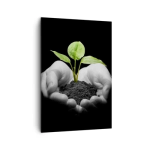 Quadro su tela - Stampe su Tela - Mani che tengono una pianta verde su uno sfondo nero - 70x100cm - Amo la natura, la proteggo - Decorazione murale moderna per soggiorno e camera da letto ARTTOR