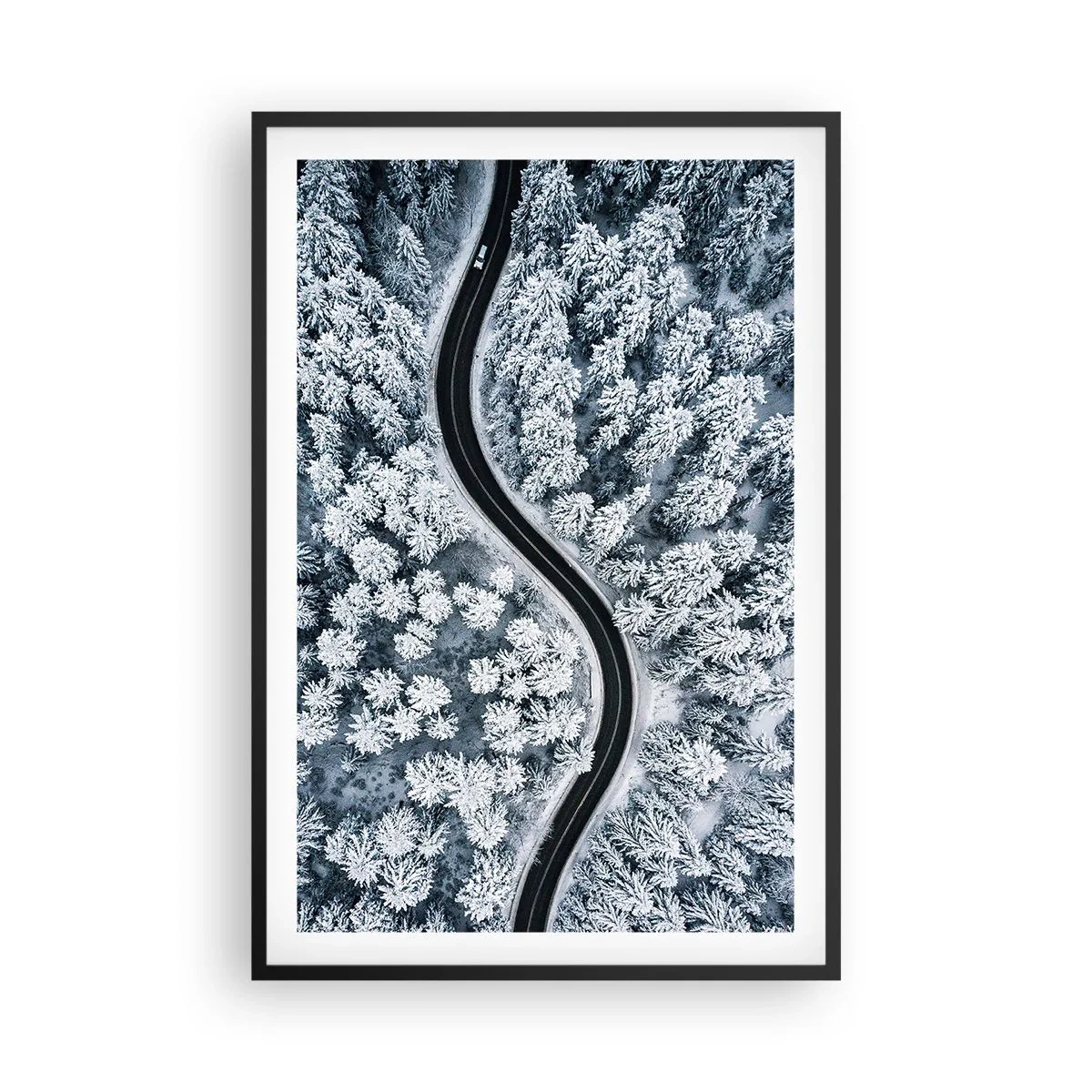 Poster in cornice nera - Attraverso il bosco invernale - 61x91 cm