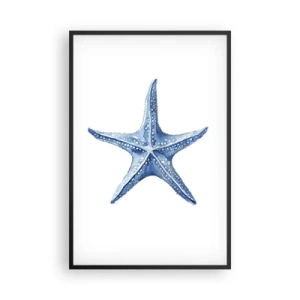 Poster in cornice nera - Stella marina - 61x91 cm