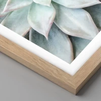 Rovere chiaro