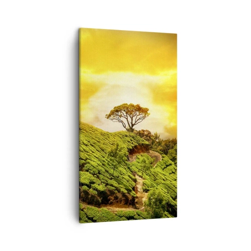 Quadro su tela - Stampe su Tela - Sentiero tortuoso, pendio verde - 45x80 cm