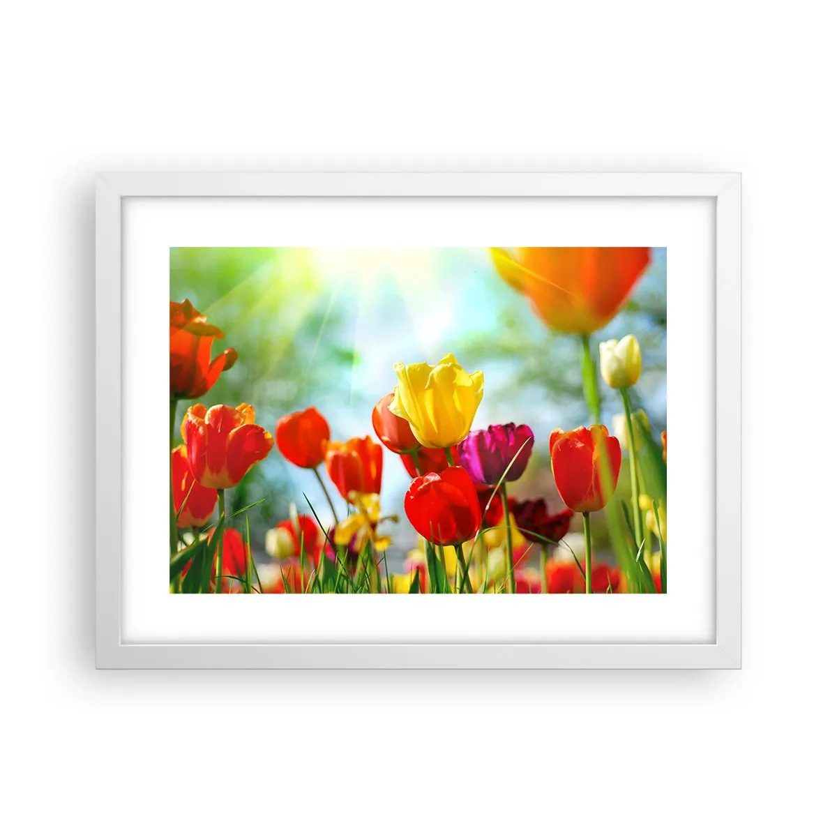 Poster in cornice bianca - Tutti i colori del sole - 40x30 cm