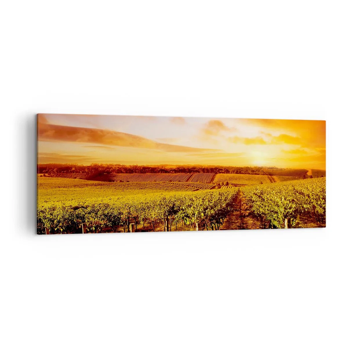 Quadro su tela - Stampe su Tela - Vigneto al tramonto con toni caldi del cielo - 140x50cm - Profumo di frutta con una nota di sole - Decorazione murale moderna per soggiorno e camera da letto ARTTOR