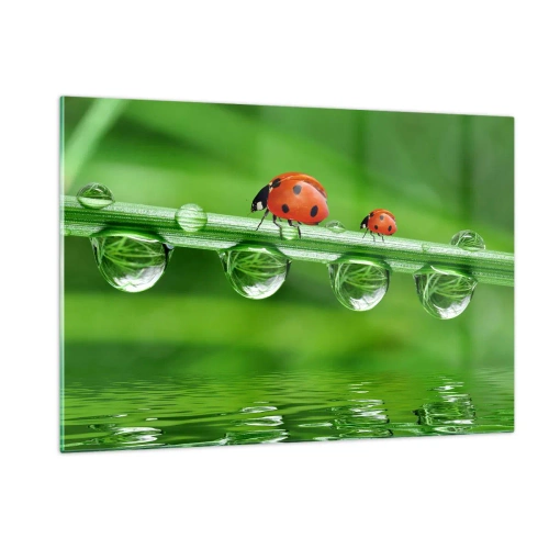 Quadro su vetro - Coccinelle su un filo d'erba con gocce di rugiada e riflesso nell'acqua - 120x80cm - In cammino per tutta l'estate - Decorazione murale moderna per soggiorno e camera da letto ARTTOR