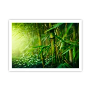 Poster - Foresta di bambù verde in luce soffusa - 100x70cm - Conoscere il verde in sé - Decorazione murale moderna per soggiorno e camera da letto ARTTOR