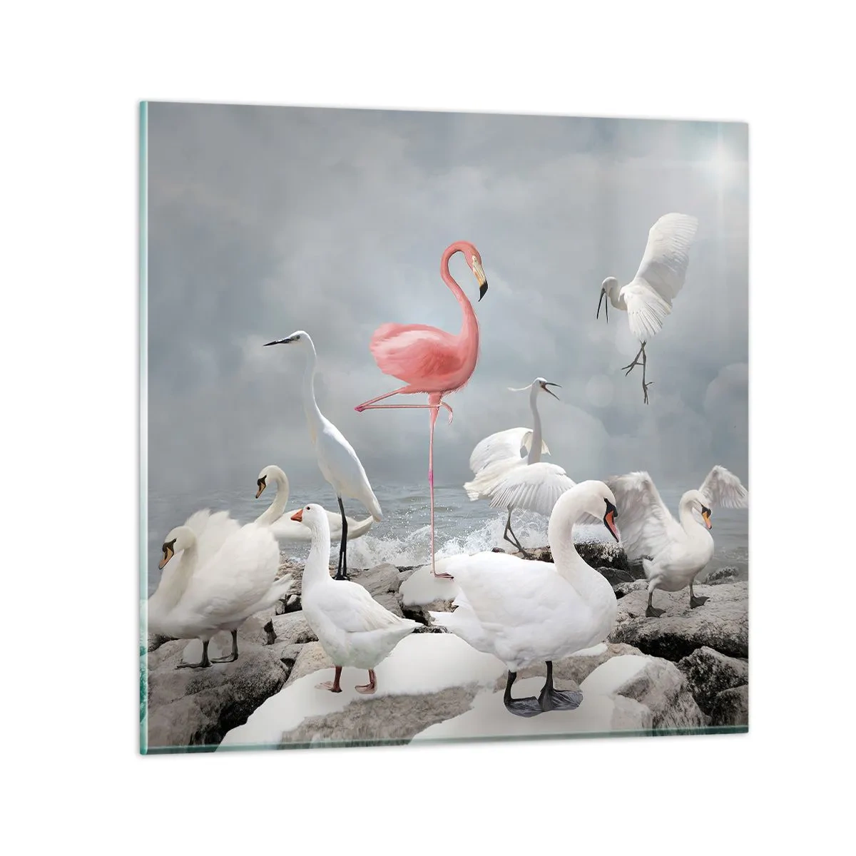 Quadro su vetro - Come sono arrivato qui? - 60x60 cm