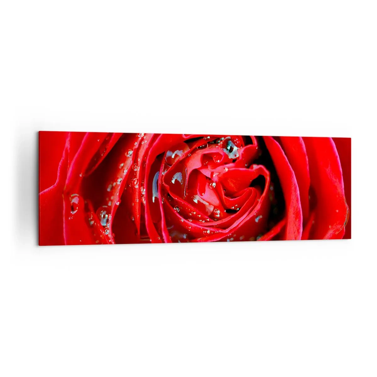 Quadro su tela - Stampe su Tela - Primo piano di una rosa rossa con gocce d'acqua sui petali - 160x50cm - Nelle gocce della rugiada - Decorazione murale moderna per soggiorno e camera da letto ARTTOR