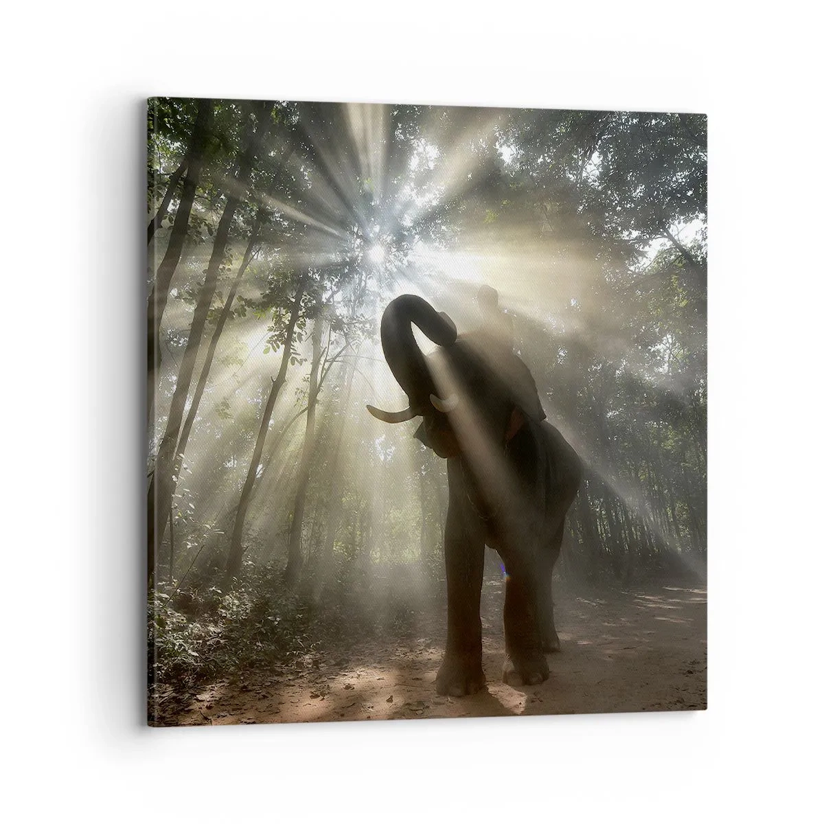 Quadro su tela - Stampe su Tela - Sotto una stella fortunata - 70x70 cm