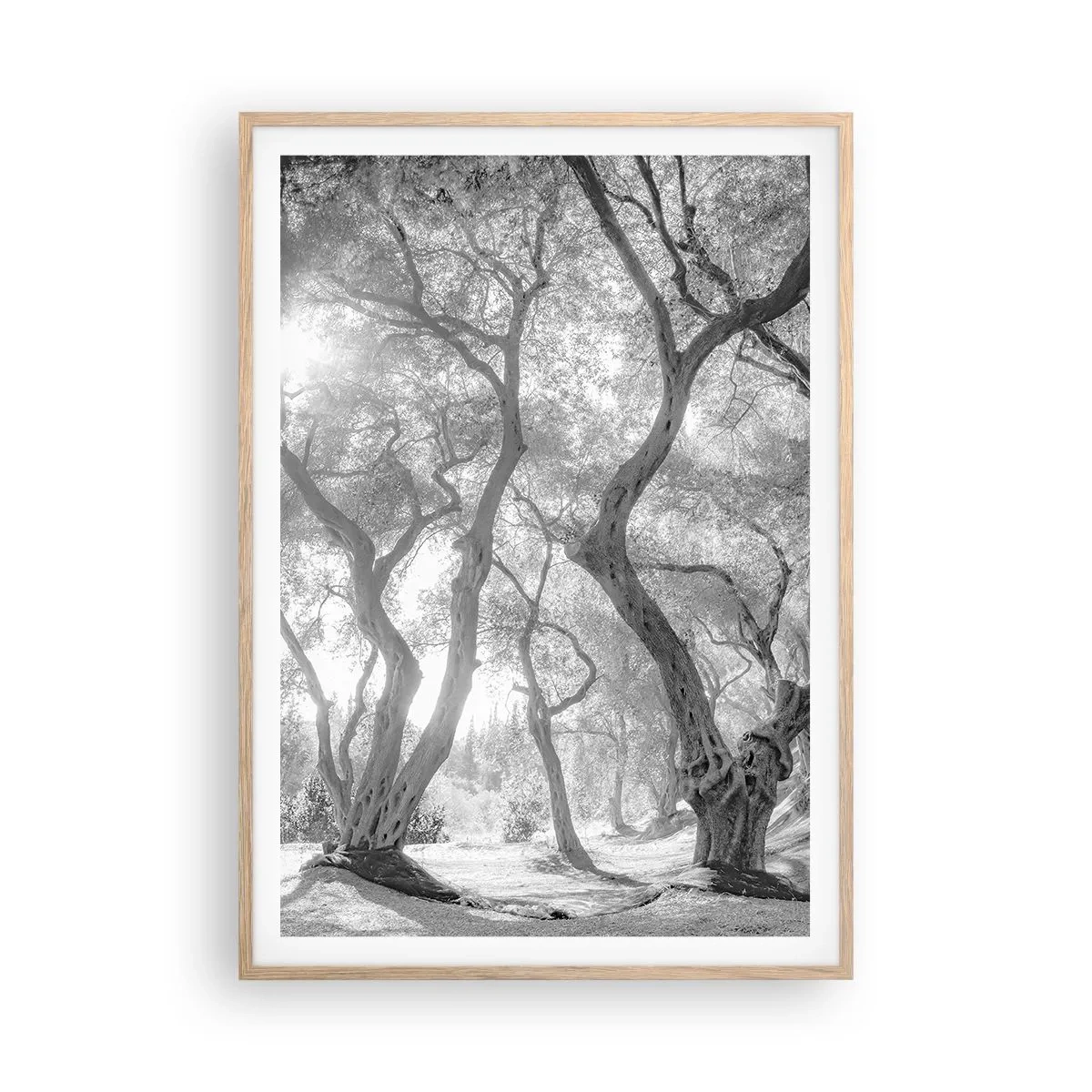Poster in cornice rovere chiaro - Nell'orto degli ulivi - 70x100 cm