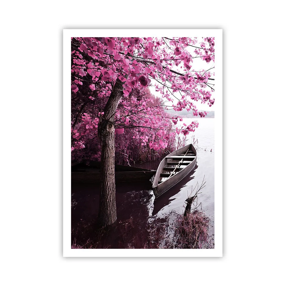 Poster - Nel silenzio rosa - 70x100 cm