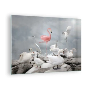 Quadro su vetro - Un fenicottero rosa tra cigni bianchi e aironi contro l'acqua - 70x50cm - Come sono arrivato qui? - Decorazione murale moderna per soggiorno e camera da letto ARTTOR