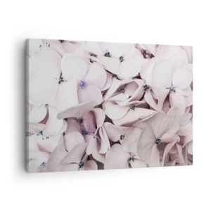 Quadro su tela - Stampe su Tela - Delicate ortensie bianche in tonalità pastello - 70x50cm - Un'alluvione di fiori - Decorazione murale moderna per soggiorno e camera da letto ARTTOR