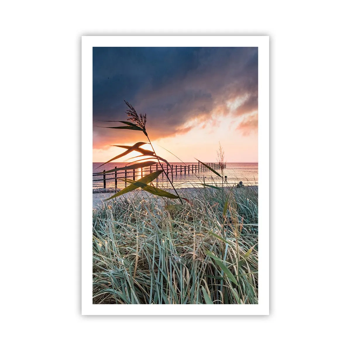 Poster - Non andrà via col vento - 61x91 cm