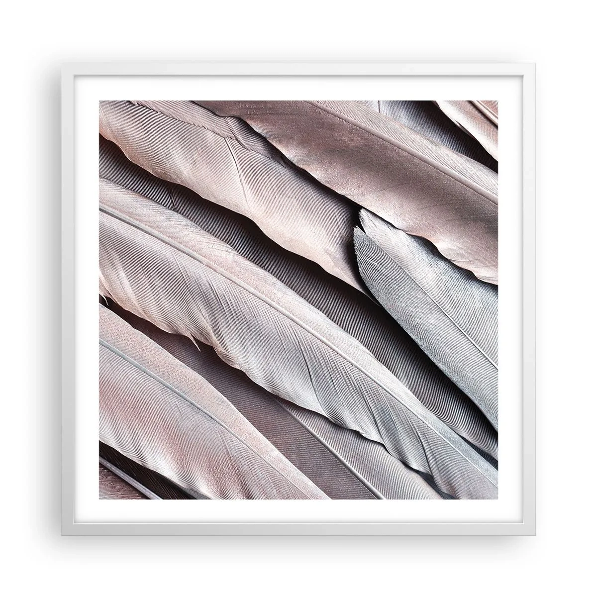 Poster in cornice bianca - Argento rosato - 60x60 cm