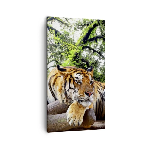 Quadro su tela - Stampe su Tela - Con espressioni di stima - 45x80 cm