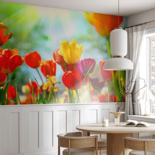 Fotomurali Premium Canvas - Tulipani colorati al sole - 100x70cm - Tutti i colori del sole - Decorazione murale moderna per soggiorno e camera da letto ARTTOR