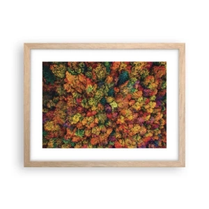 Poster in cornice rovere chiaro - Il bouquet degli alberi d'autunno - 40x30 cm