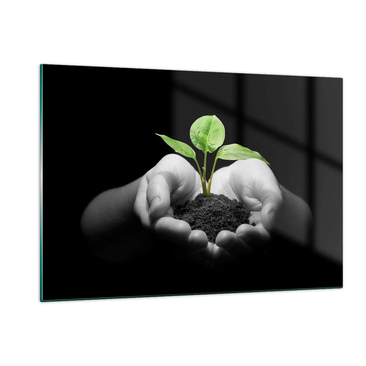 Quadro su vetro - Una giovane pianta tra le mani su uno sfondo nero - 120x80cm - Amo la natura, la proteggo - Decorazione murale moderna per soggiorno e camera da letto ARTTOR