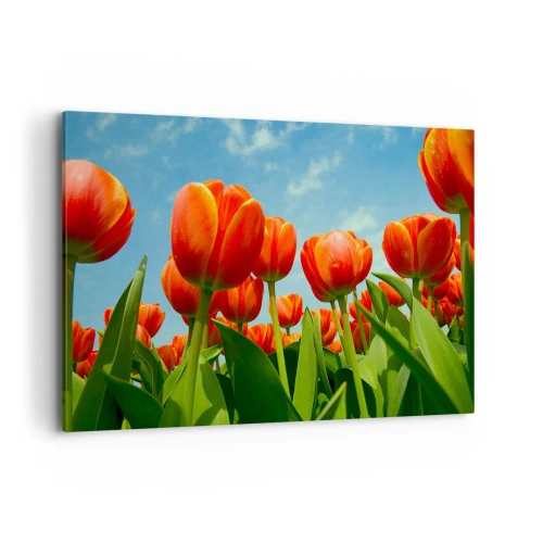 Quadro su tela - Stampe su Tela - Un campo di tulipani rossi e arancioni contro un cielo blu - 100x70cm - A loro non serve nulla oltre al cielo azzurro - Decorazione murale moderna per soggiorno e camera da letto ARTTOR