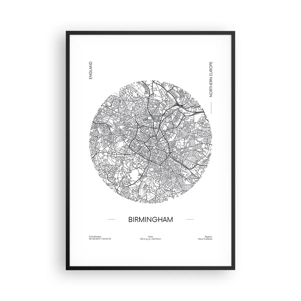 Poster in cornice nera - Anatomia di Birmingham - 70x100 cm