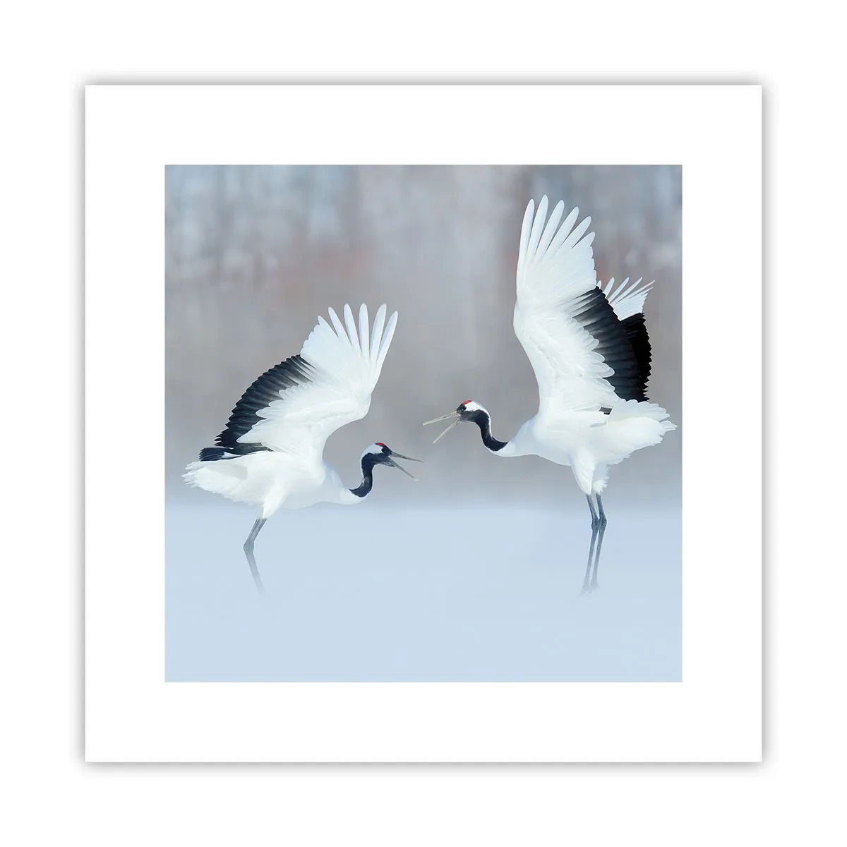 Poster - Danza nella nebbia - 30x30 cm