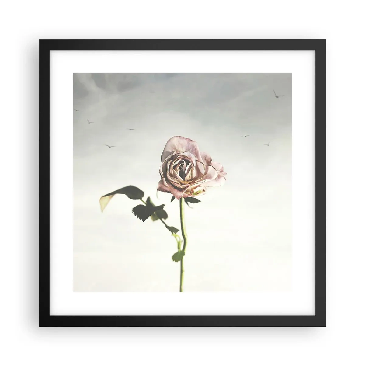 Poster in cornice nera - Il benvenuto alla primavera - 40x40 cm