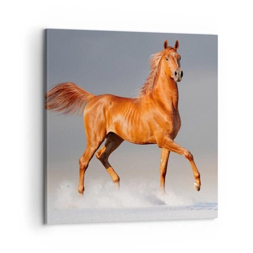 Quadro su tela - Stampe su Tela - Grazia danzante - 60x60 cm