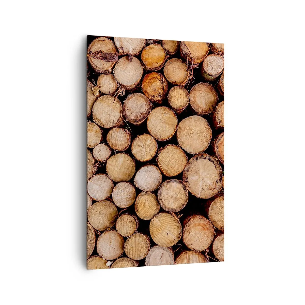 Quadro su tela - Stampe su Tela - Mucchi di tronchi d'albero abbattuti disposti in armonia - 80x120cm - Nuovo inizio - Decorazione murale moderna per soggiorno e camera da letto ARTTOR