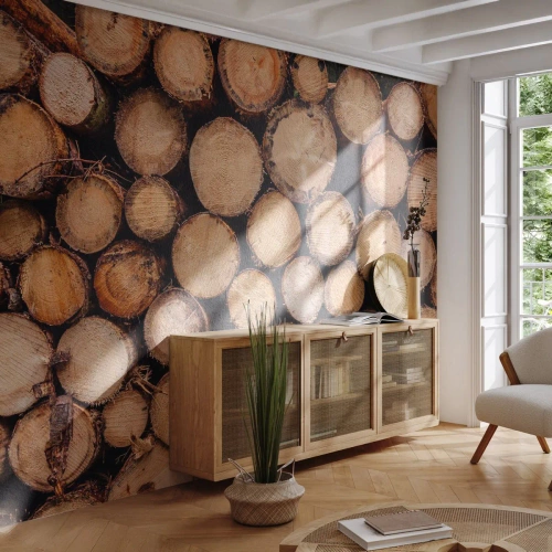 Fotomurali Premium Sand - Tronchi d'albero disposti in sezione trasversale - 100x70cm - Nuovo inizio - Decorazione murale moderna per soggiorno e camera da letto ARTTOR