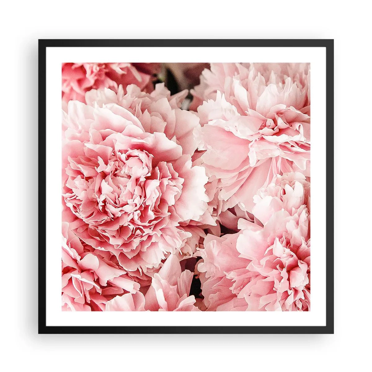 Poster in cornice nera - Sogno rosa - 60x60 cm