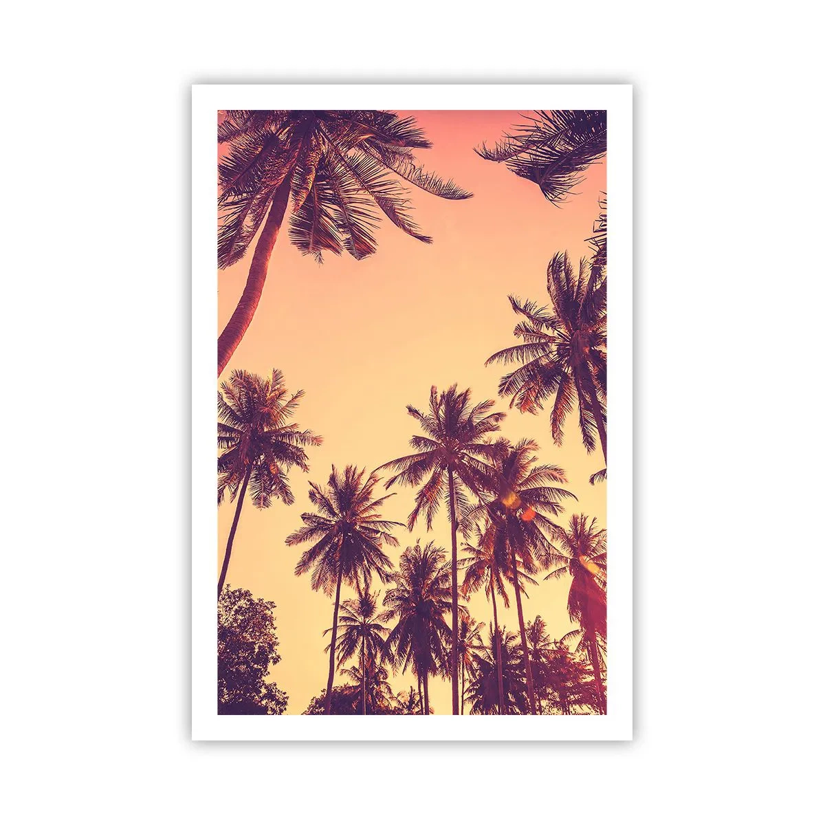 Poster - Composizione tropicale - 61x91 cm