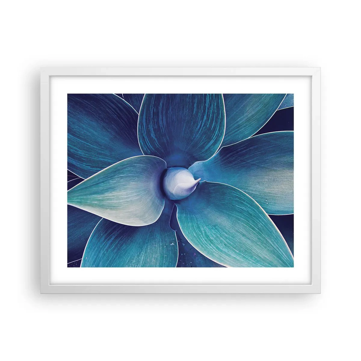 Poster in cornice bianca - Imbluito dal sole - 50x40 cm