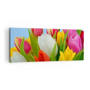 Quadro su tela - Stampe su Tela - Tulipani colorati ricoperti di gocce di rugiada su uno sfondo blu - 120x50cm - Fiori multicolori nella rugiada - Decorazione murale moderna per soggiorno e camera da letto ARTTOR
