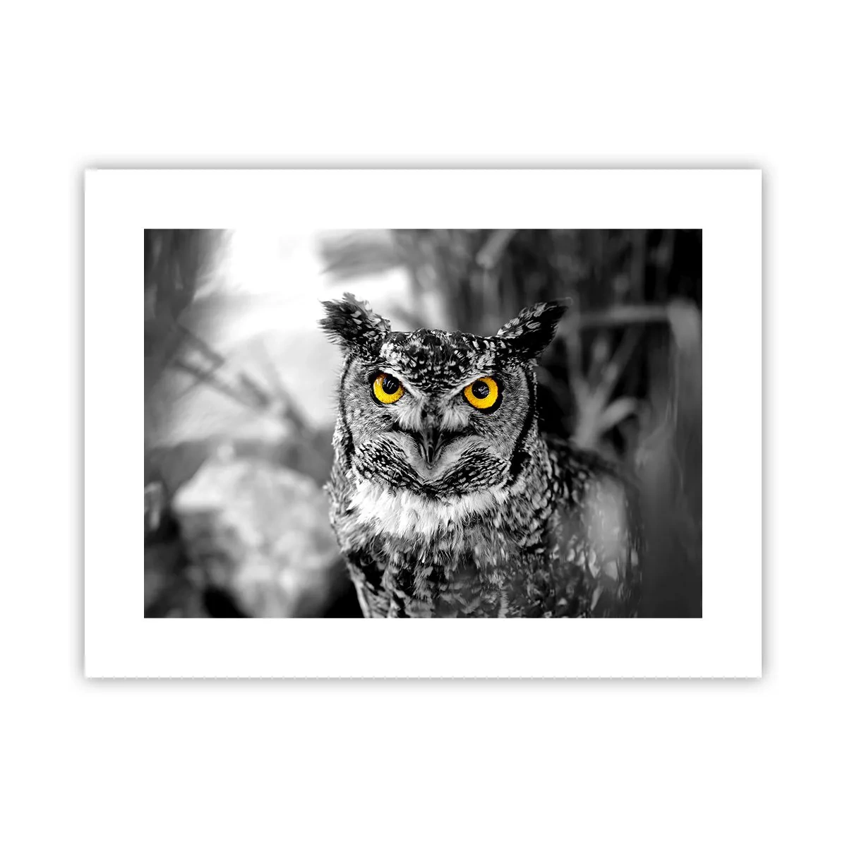 Poster - Non si può nascondere niente - 40x30 cm